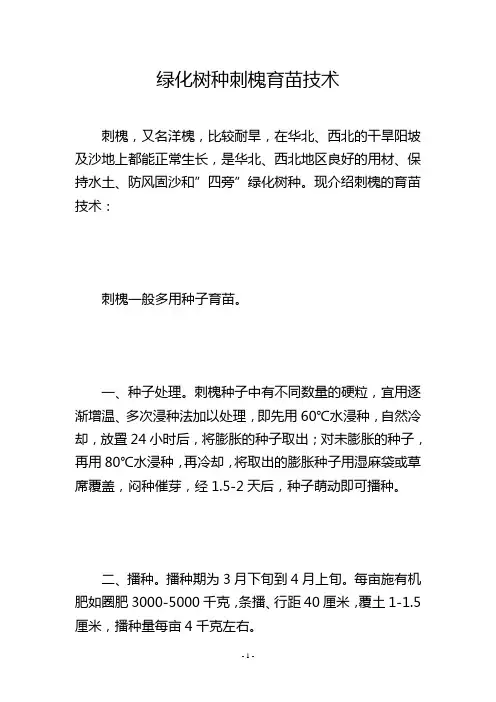 绿化树种刺槐育苗技术