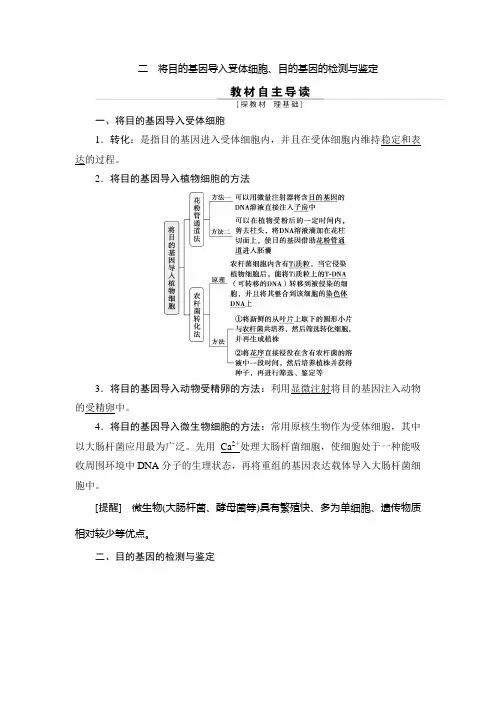 人教版   选择性必修三 将目的基因导入受体细胞、目的基因的检测与鉴定 教案