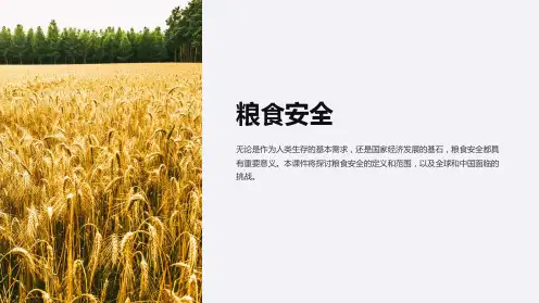 《粮食安全》课件