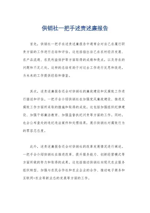 供销社一把手述责述廉报告