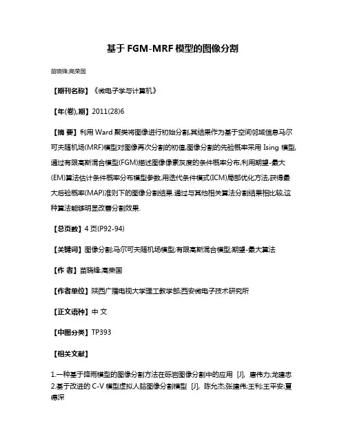 基于FGM-MRF模型的图像分割