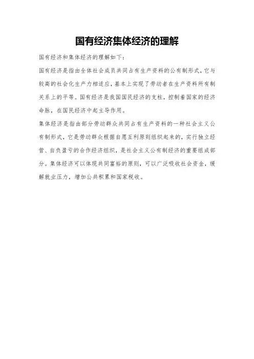 国有经济集体经济的理解