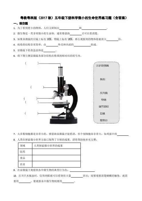 粤教粤科版(2017秋)五年级下册科学微小的生命世界练习题(含答案)