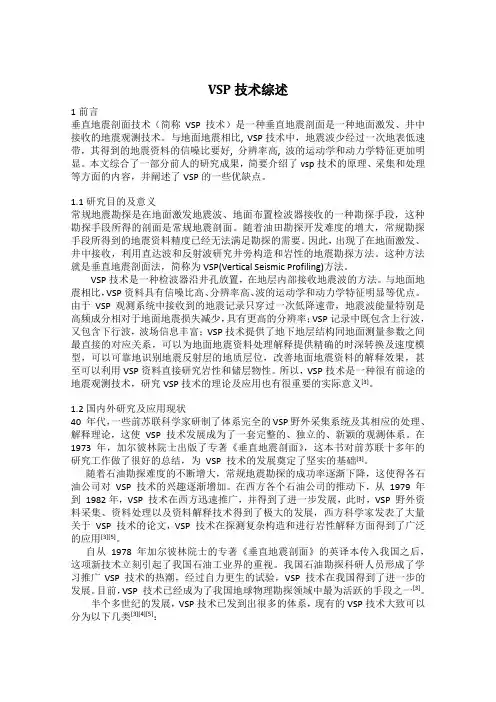 VSP技术综述