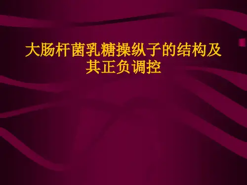 乳糖操纵子