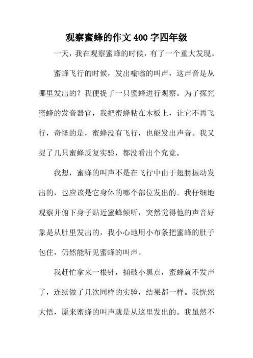 观察蜜蜂的作文400字四年级