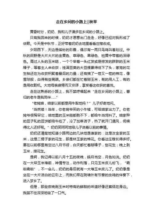 走在乡间的小路上‖秋苹