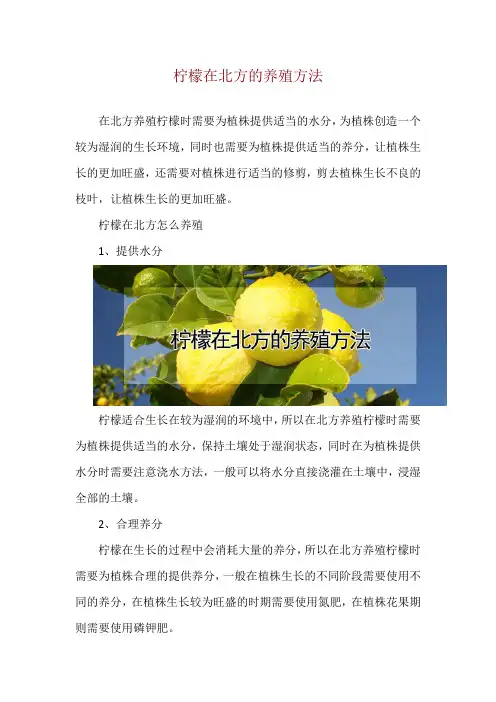 柠檬在北方的养殖方法