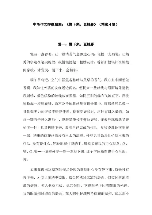 慢下来更精彩作文650字