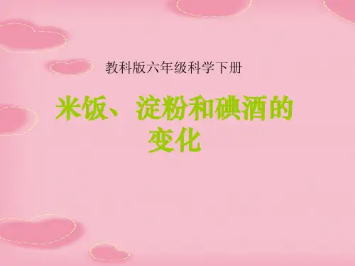 2021精选《米饭、淀粉和碘酒的变化》物质的变化PPT课件4