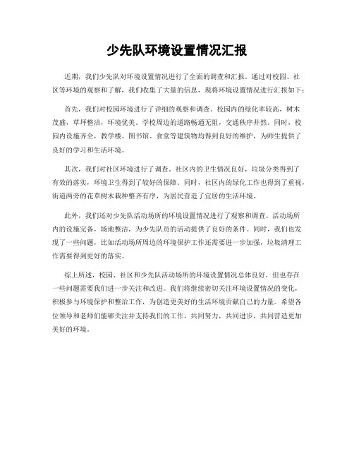 少先队环境设置情况汇报