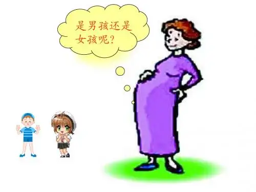 八年级生物性别和性别决定