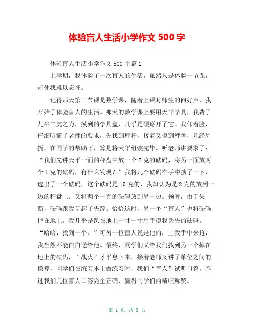 体验盲人生活小学作文500字