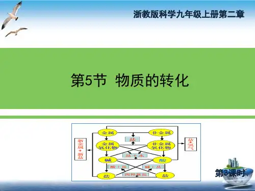 浙教版九年级上册科学2.5《物质的转化》3优秀课件