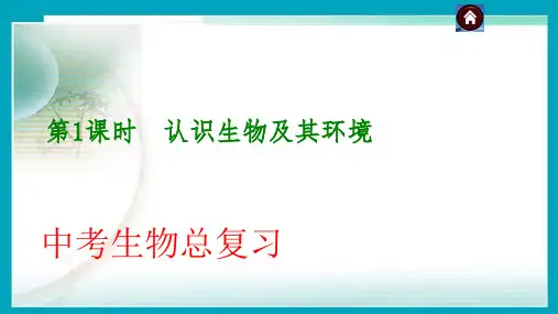 人教版生物中考总复习课件