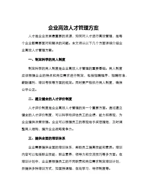 企业高效人才管理方案