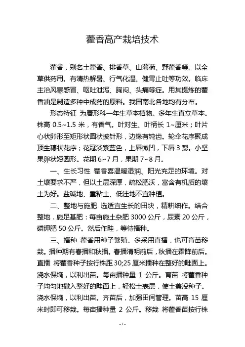 藿香高产栽培技术