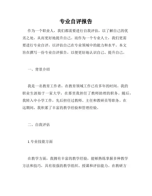 专业自评报告