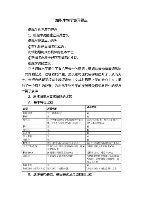 细胞生物学复习要点