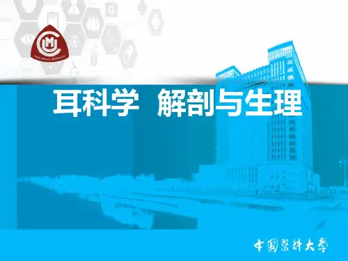 耳科学-解剖与生理PPT