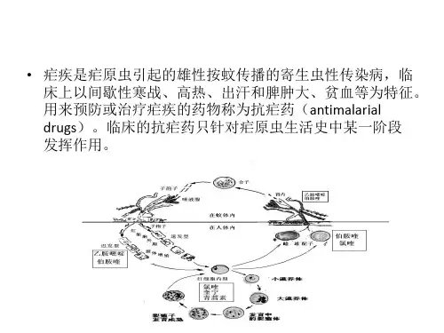 抗寄生虫药