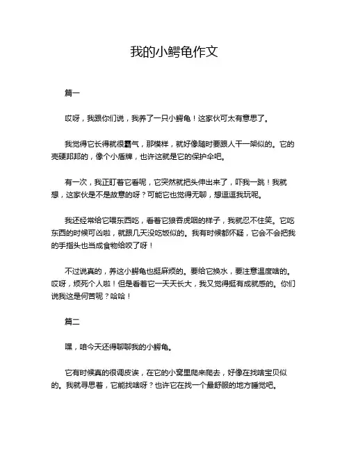 我的小鳄龟作文