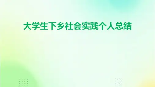 大学生下乡社会实践个人总结PPT