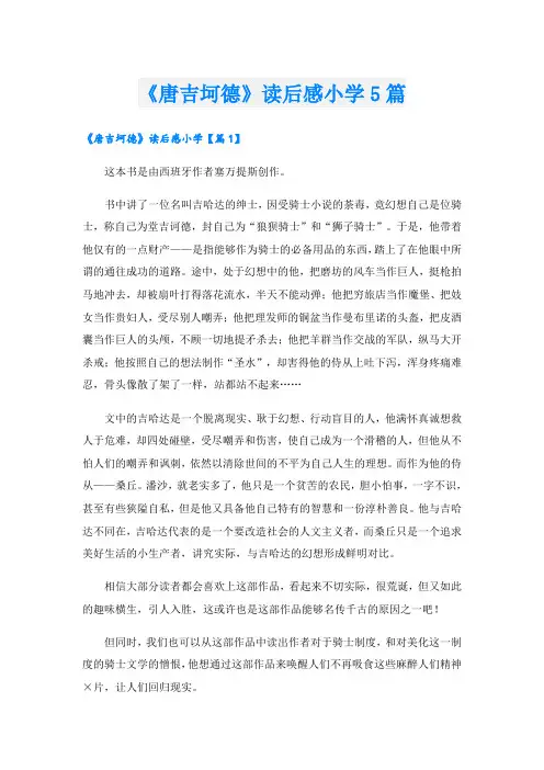 《唐吉坷德》读后感小学5篇
