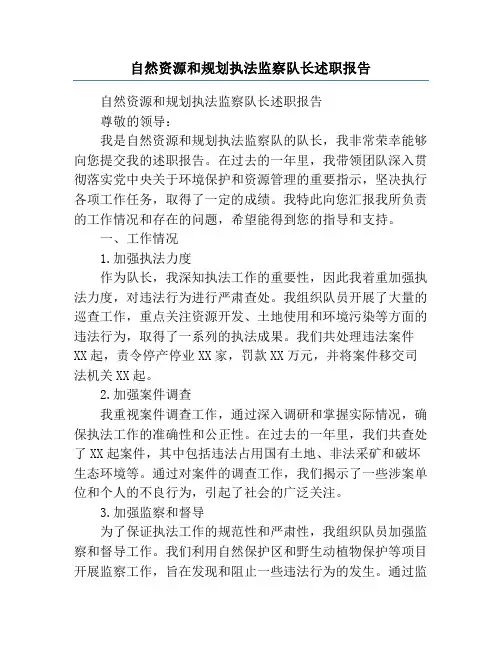 自然资源和规划执法监察队长述职报告