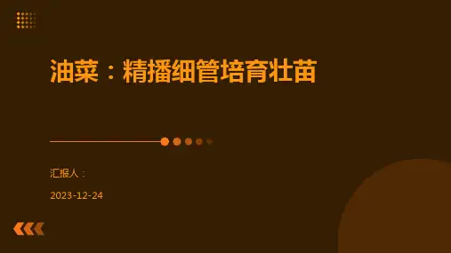 油菜：精播细管培育壮苗
