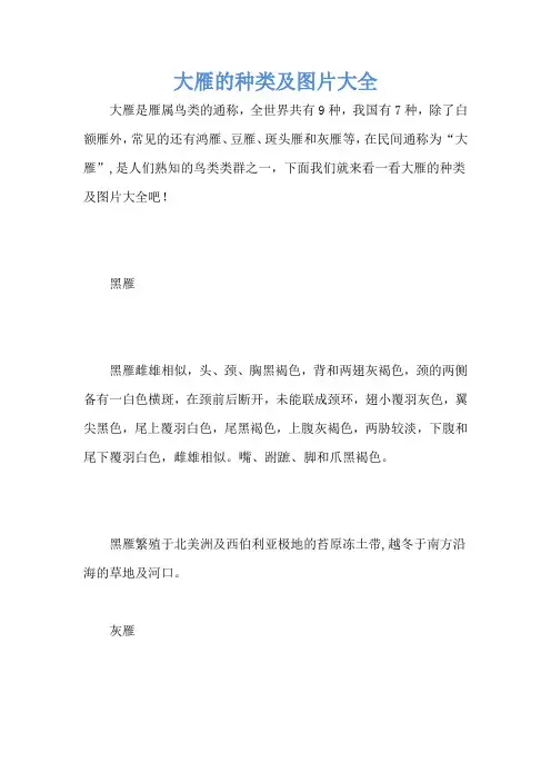 大雁的种类及图片大全