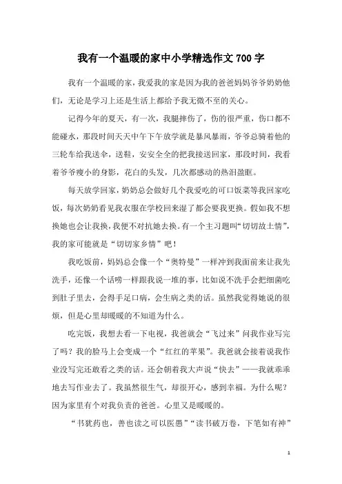 我有一个温暖的家中小学精选作文700字