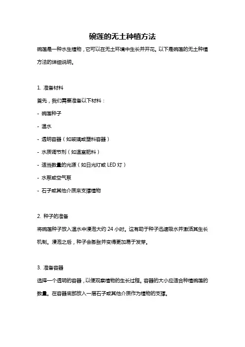 碗莲的无土种植方法