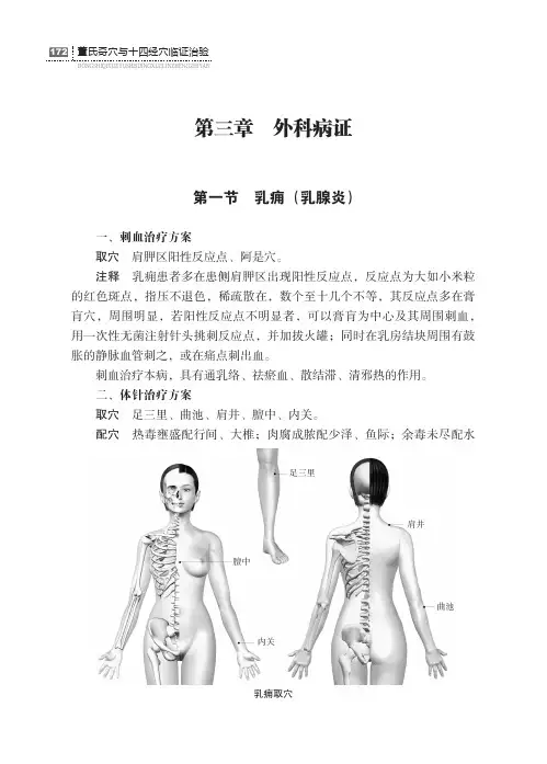 董氏奇穴与十四经穴临证治验第三篇针灸临床常见病治疗集验第三章外科病证