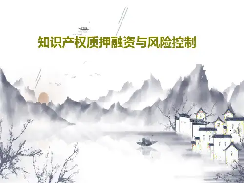知识产权质押融资与风险控制PPT共39页