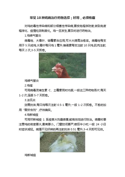 常见10种鸡病治疗药物选择；好用，必须收藏