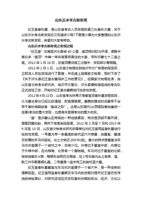 山东沂水考古新发现