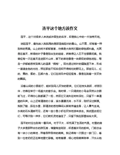 连平这个地方该作文