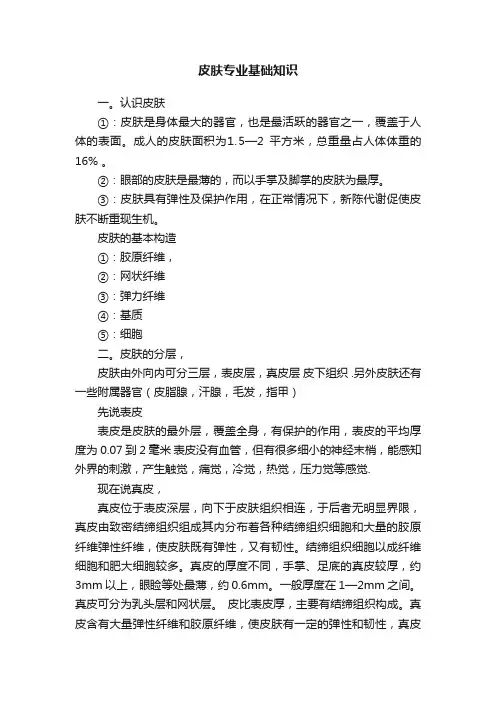 皮肤专业基础知识