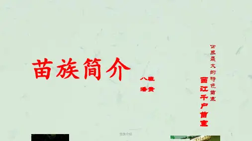 苗族介绍课件