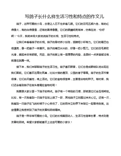 写鸽子长什么样生活习性和特点的作文儿