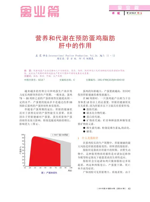 营养和代谢在预防蛋鸡脂肪肝中的作用