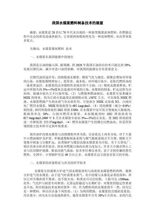 我国水煤浆燃料制备技术的展望