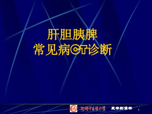 肝胆胰脾疾病CTppt课件