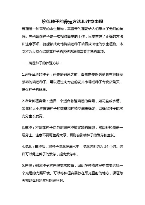 碗莲种子的养殖方法和注意事项