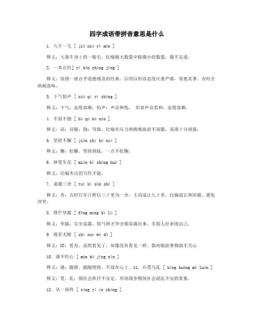 四字成语带拼音意思是什么