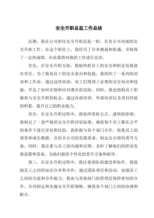 安全升职总监工作总结