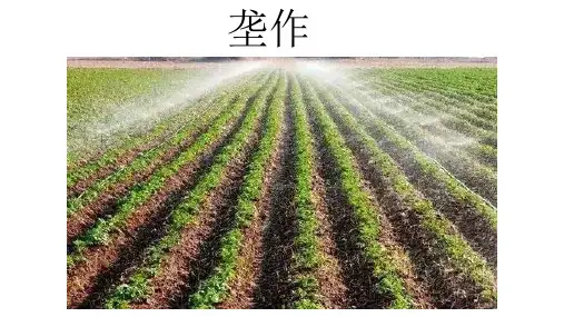 高考地理二轮专题复习课件垄作微专题
