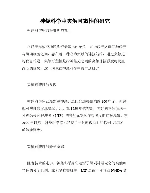 神经科学中突触可塑性的研究