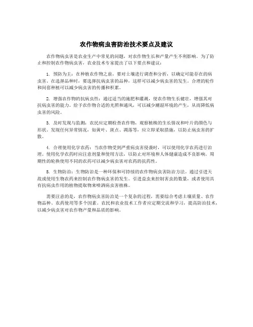 农作物病虫害防治技术要点及建议